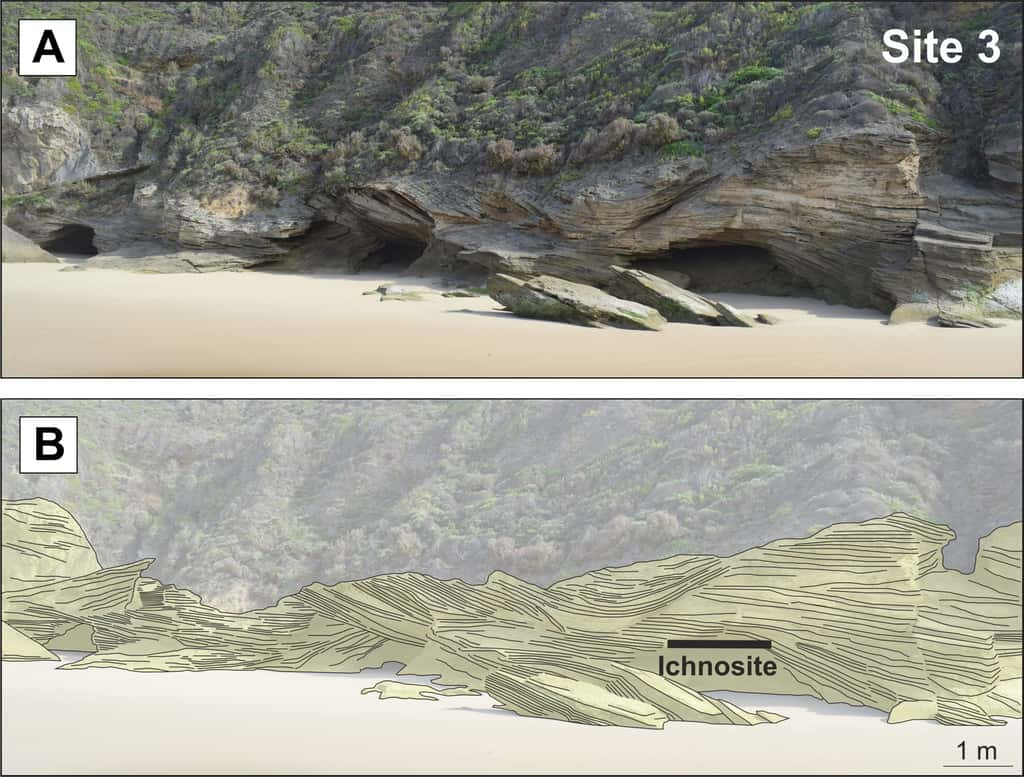 La côte à proximité de Brenton-on-Sea, en Afrique du Sud, est marquée par la présence d'éolianites, des dunes fossilisées. © Helm et <em>al.</em> 2024,<em> Ichnos</em>