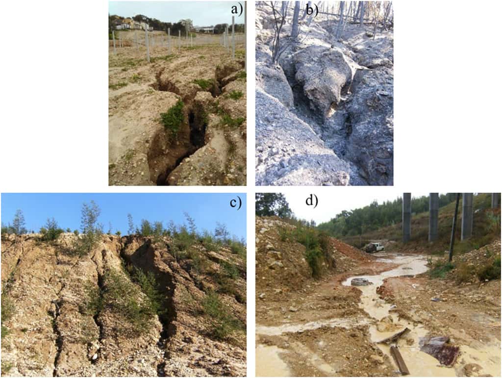 Exemples de l'érosion des sols au Portugal (a) sur une zone d'agriculture non réfléchie, (b) après un feu de forêt, (c) sur des terres agricoles laissées à l'abandon, (d) en zone urbanisée. © Ferreira et <em>al.,</em> 2022, CC by-nc-nd 4.0