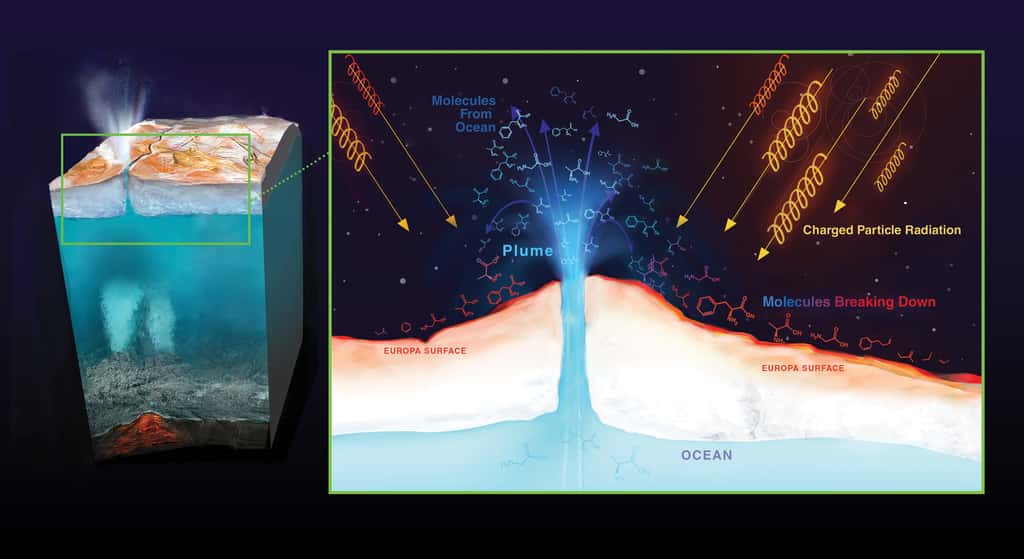 Les échanges chimiques et thermiques seraient très intenses à l'interface entre l'océan et le manteau. Les échanges de chaleur permettraient d'ailleurs de soutenir une circulation océanique impactant la surface gelée de la lune. © Nasa, JPL-Caltech, Wikimedia Commons, domaine public