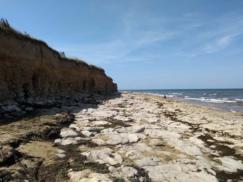 Les falaises et les plages de Lions-sur-Mer sont connues pour être un important site à fossiles. © patrick janicek, Flickr, CC by 2.0