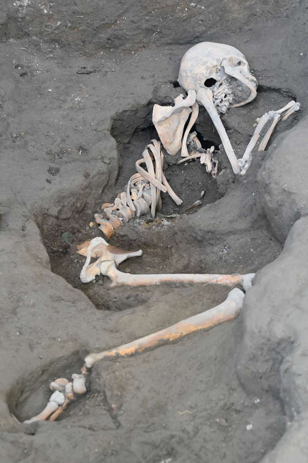 Le squelette de la femme. À ses côtés ont été retrouvé des bijoux et des pièces de monnaie. © <em>Archaeological Park of Pompeii</em>