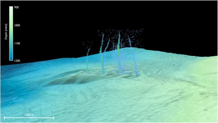 Image sonar des sources de <em>Pythia's Oasis</em> montrant les échappements de fluides et les bulles remontant vers la surface. © Philip et <em>al.</em> 2023, <em>Science Advances</em>