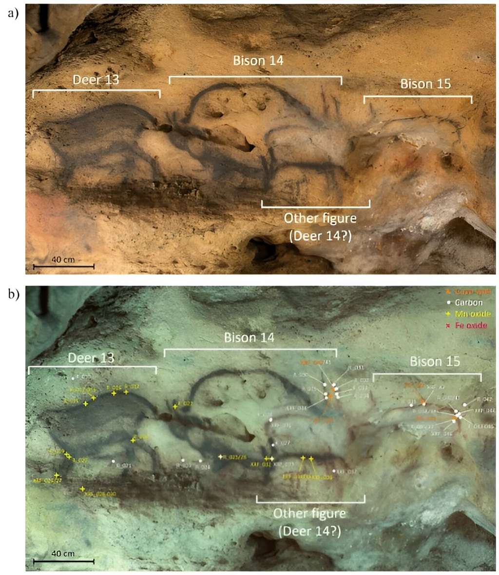 Analyse sous différentes longueurs d'ondes de représentation animales peintes sur les parois de la grotte de Font-de-Gaume. © Ina Reiche et <em>al.</em> 2023, <em>Scientific Reports</em>, DOI: 10.1038/s41598-023-47652-1