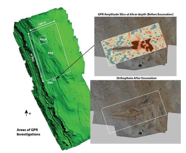 L'image en vert montre la zone investiguée grâce à la méthode géoradar (Ghezzi <em>et al.</em>). En haut à droite, une image du squelette de baleine après traitement des données. En bas, l'image du squelette après son excavation. © Avec l'aimable autorisation d'Annalisa Ghezzi