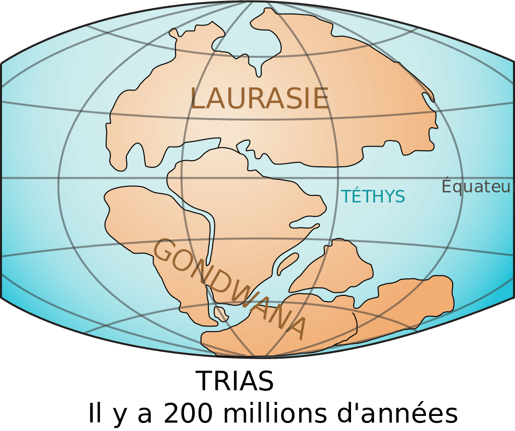 Supercontinent Gondwana © Benoit Rochon, <em>Wikimedia Commons</em>, CC by-sa 3.0