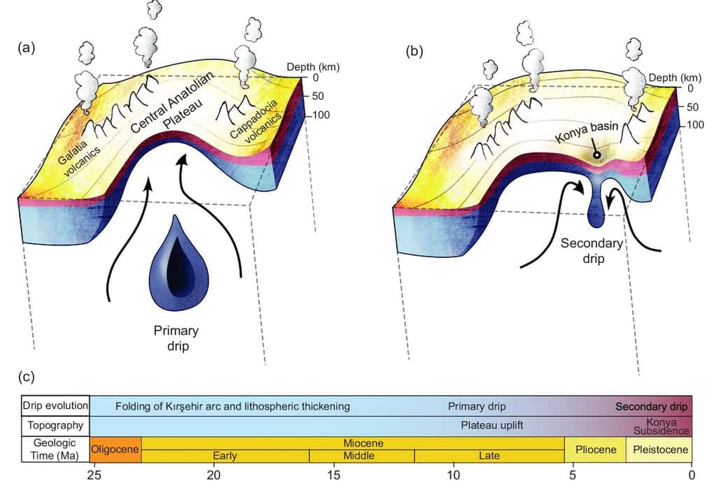 Détachement d'un morceau de lithosphère provoquant la surrection du plateau il y a 10 millions d'années (a) ; l'instabilité produite aurait engendré une seconde « goutte » qui serait à l'origine de la subsidence du bassin de Konya (b). © <em>Andersen et al. 2024, Nature Communications</em>