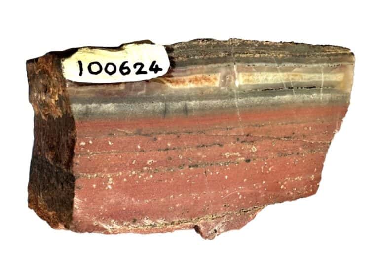 Roche provenant du craton de Pilbara, âgée de 3,49 milliards d'années. Le jaspe est associé à la présence de particules d'hématites dans le jaspe. Les niveaux plus sombres représentent les particules de greenalite. © Birger Rasmussen