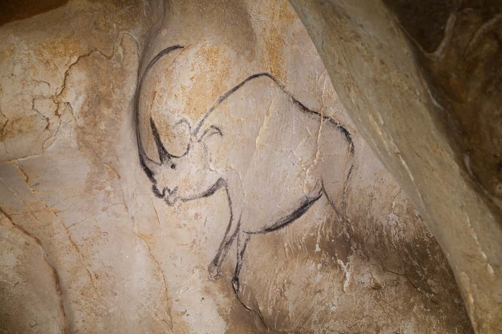 Les animaux du Paléolithique sont nombreux à avoir été représentés dans la grotte Chauvet. Ici un rhinocéros. © Thomas Sagory. Ministère de la Culture et de la Communication