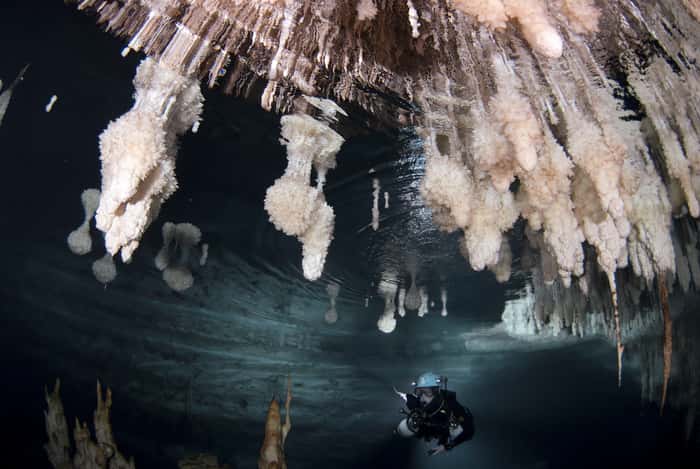 Plongeur spéléologue recherchant des traces de variations du niveau marin dans les concrétions des grottes de Majorque. © Université de Floride du Sud