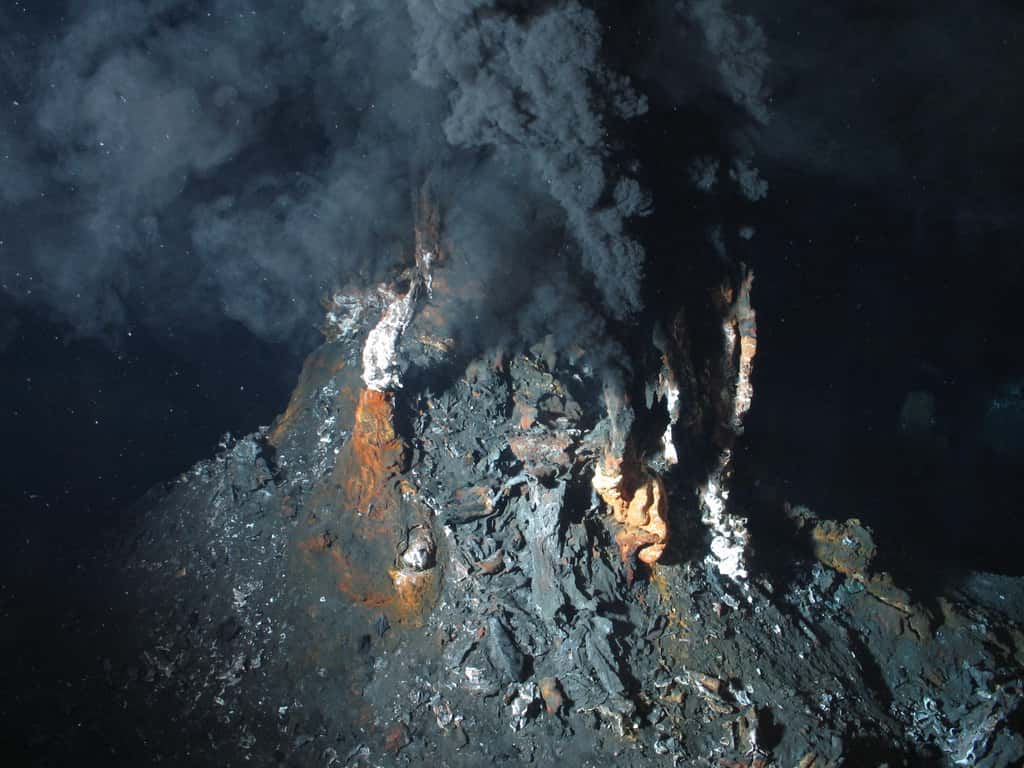  C'est au niveau des sources hydrothermales, au fond des océans, que seraient apparus les premiers organismes vivants. Un milieu totalement dépourvu d'oxygène. © Ifremer (2013)