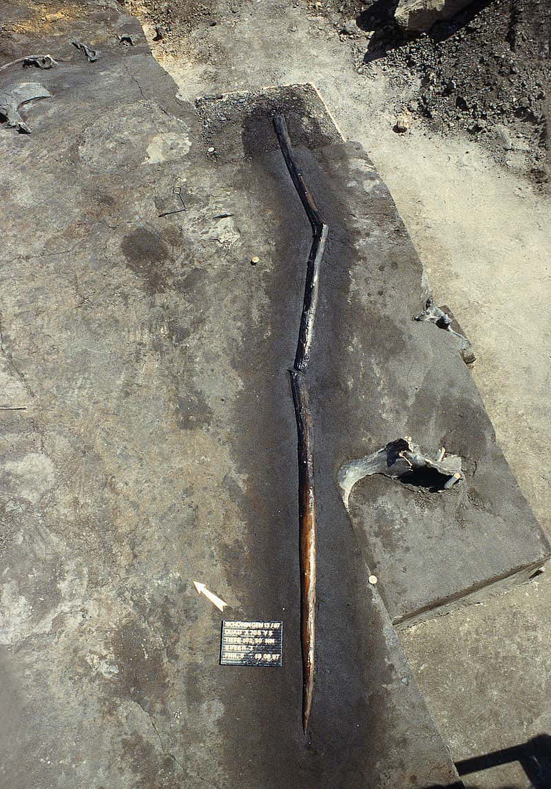 Une lance en bois datant de plus de 300 000 ans, retrouvée sur le site de Schöningen en Allemagne © P. Pfarr NLD, Wikimedia Commons, CC BY-SA 3.0 DE 
