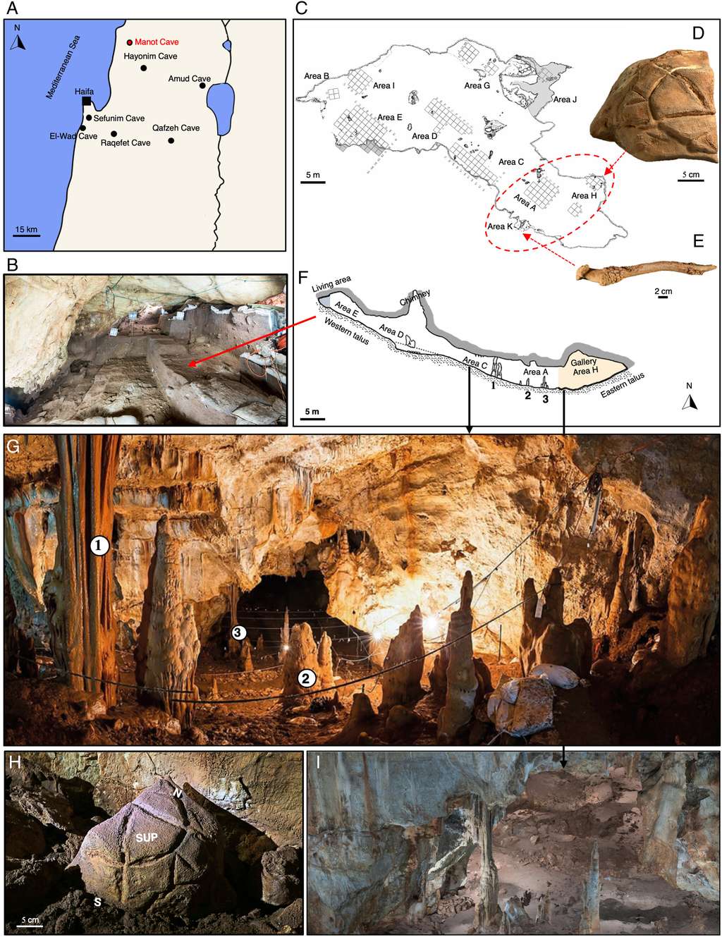 Localisation géographique de la grotte de Manot, architecture de la galerie et emplacement de la salle où a été retrouvé le "totem" en forme de carapace de tortue © Barzilai <em>et al.</em> 2024, PNAS