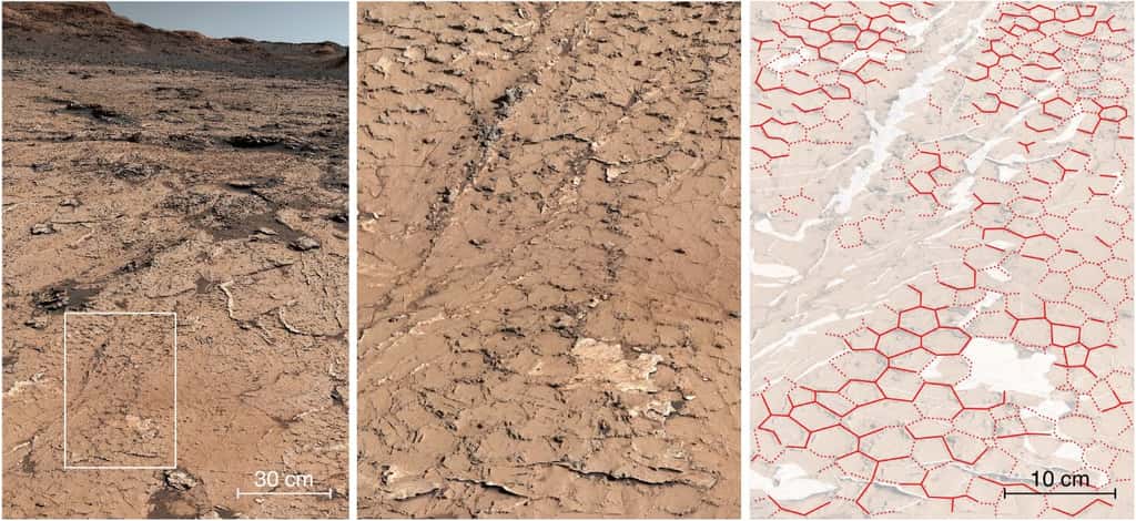 Motif fossile hexagonal dans les roches sédimentaires analysées par Curiosity au 3 154<sup>e</sup> jour de sa progression dans le cratère de Gale sur Mars. © Nasa/JPL-Caltech/MSSS/Irap/Rapin et al., <em>Nature</em>