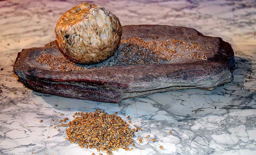 Meule néolithique pour écraser les grains de blé. © José-Manuel Benito Álvarez, Wikimedia Commons, CC by-sa 2.5