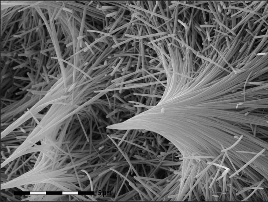 Des nanotudes de serpentines capturés par microscope électronique © Romain Lafay, imaggeo.egu.eu, cc by 3.0