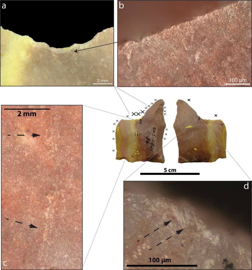 Détail d'outils en pierre portant des marques d'usure microscopiques associées à la confection de fibres végétales. © Xhauflair et al. 2023, <em>PLOS ONE</em>