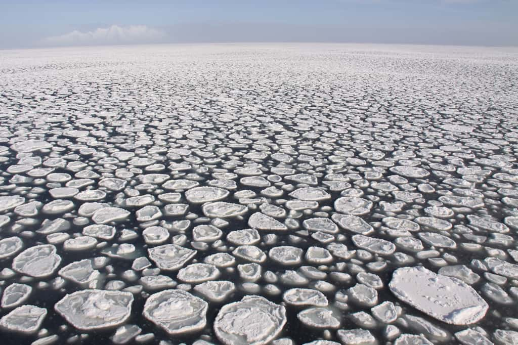 Dans le passage de Drake, au large de l’Antarctique, banquise prend une forme étrange, surnommée Pancake ice © Kenneth Mankoff, imaggeo.egu.eu, CC BY-NC-SA 3.0