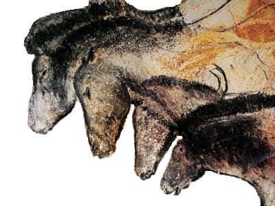 Peintures dans la grotte Chauvet représentant des chevaux. © <em>Wikimedia Commons</em>, domaine public