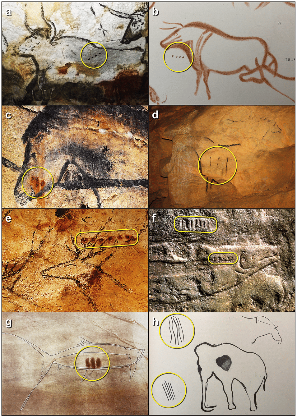 Certains auteurs notent que les représentations animales sont souvent associées à des symboles dont le nombre ne dépasse jamais le chiffre 13. Une observation contredite par une récente étude. © Bacon et al. 2023