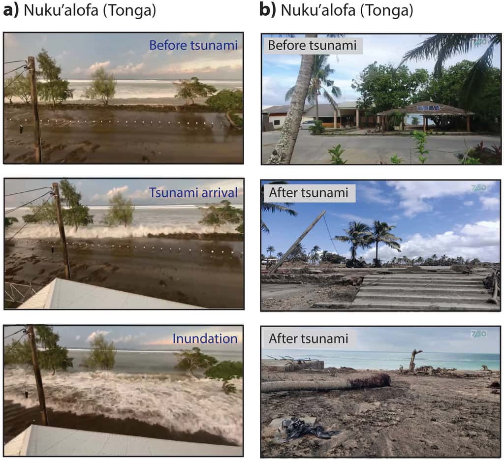 Images montrant les dégâts causés par l'arrivée du tsunami sur la côte de Nuku'alofa, Tonga. © Heidarzadeh et al. 2022, <em>OceanEngineering</em>, CC By 4.0
