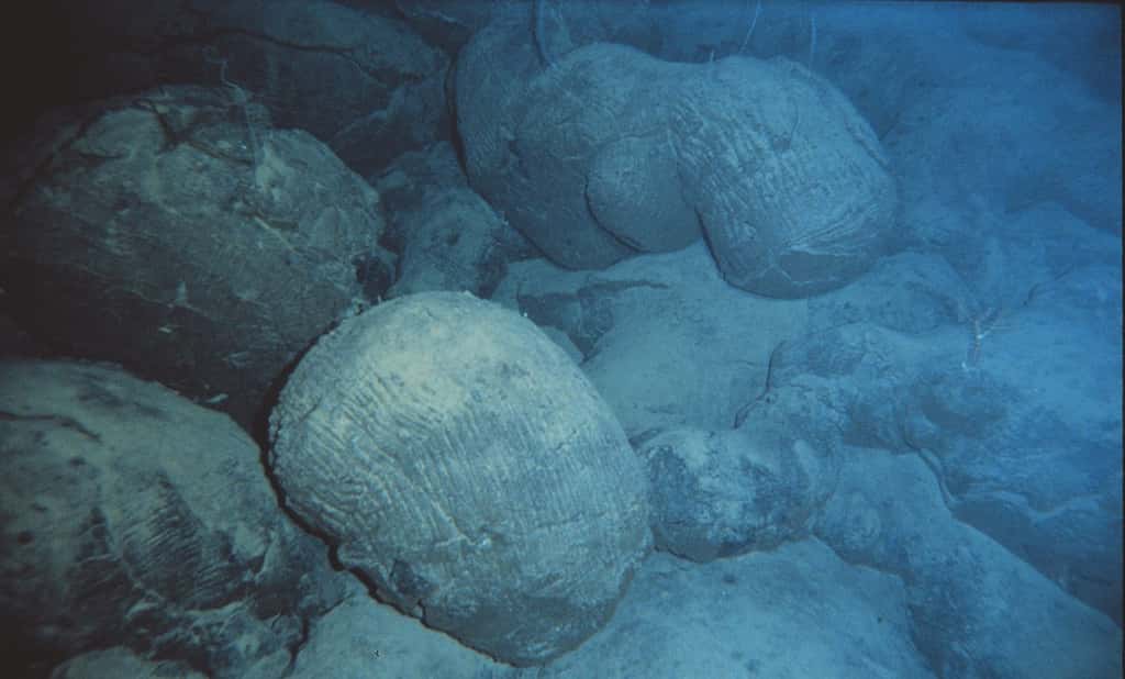 Basaltes en coussin © NOAA, domaine public