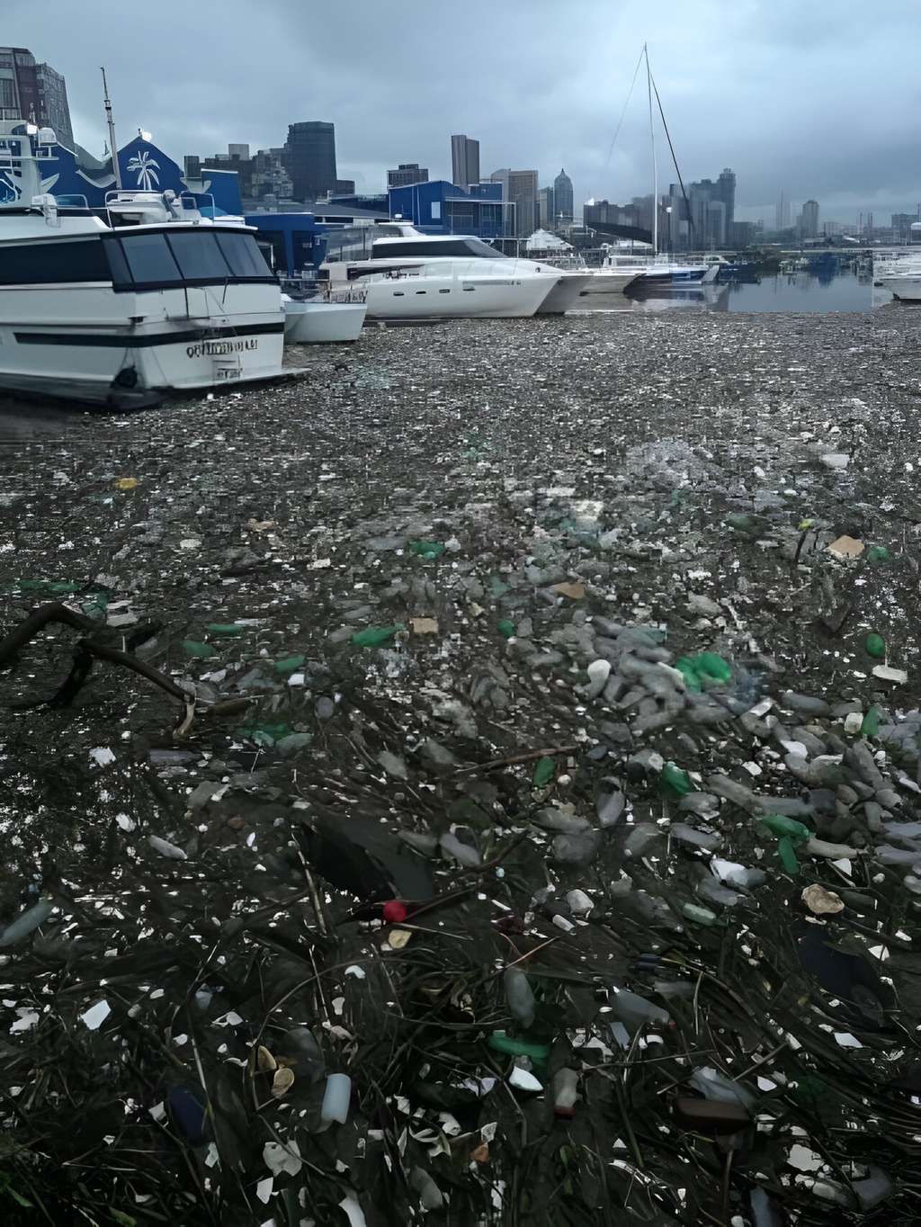 Déchets plastiques flottant dans le port de Durban en Afrique du Sud à la suite de fortes précipitations. © Ash Erasmus