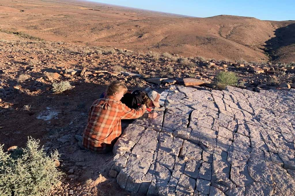  Emily Hughes (<em>Georgia Institute of Technology</em>) et Ian Hughes (<em>Harvard University</em>) dans le <em>Nilpena Ediacara National Park</em> en Australie, en train d'observer des fossiles de <em>Quaestio simpsonorum</em>. © Scott Evans.