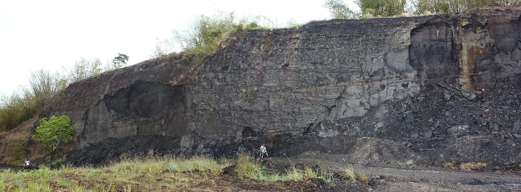 Affleurement d'une formation géologique contenant du sable bitumineux, Trinité et Tobago. © Michael C. Rygel, Wikimedia Commons, CC by-sa 3.0 