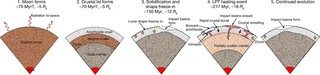 Scénario proposé pour expliquer la divergence entre l'âge des zircons et celui des roches de la croûte lunaire. En 4, on voit l'épisode de fusion du manteau qui a produit d'importants épanchements de lave en surface et un remaniement global de la croûte lunaire. © Nimmo et <em>al.</em> 2024,<em> Nature</em>