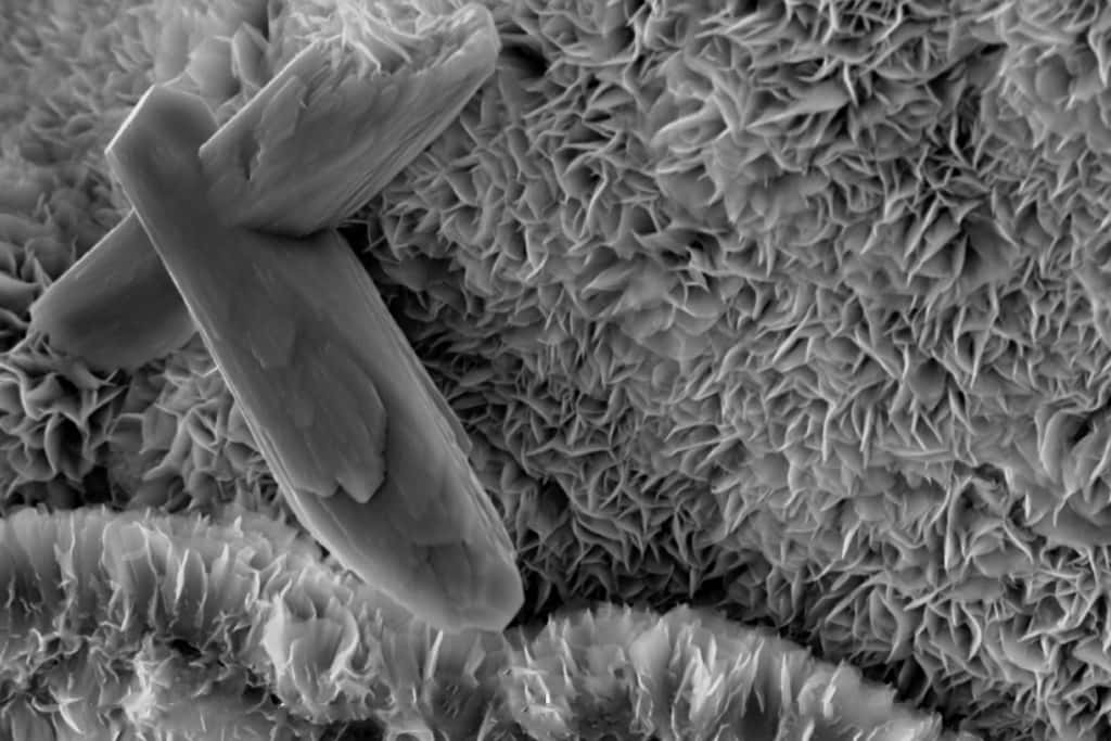 La structure de la smectite (ici vue au microscope électronique) permet de capturer de grandes quantités de carbone organique. © Anthony Priestas, Boston University