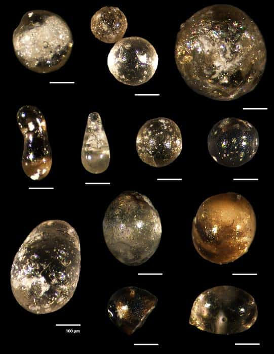 Sphérules de verre produites par les impacts d'astéroïdes retrouvés lors des échantillonnages. © Natalie Cheng, Bridget Wade