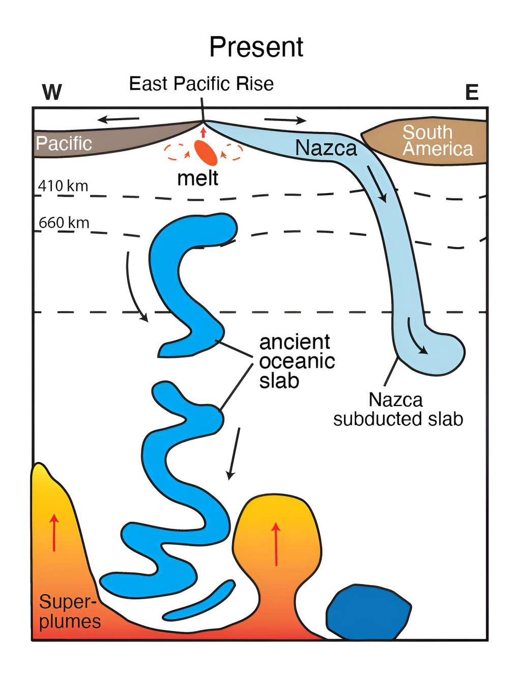 Schéma présentant l'ancien slab (croûte entrée en subduction, en bleu) coulant dans le manteau. La zone de transition entre 410 et 660 kilomètres de profondeur semble ralentir sa descente. Toutefois, des portions dans le manteau inférieur pourraient être à l'origine de la structure des superpanaches qui prennent leur source à la base du manteau. © Jingchuan Wang, <em>University of Maryland</em>