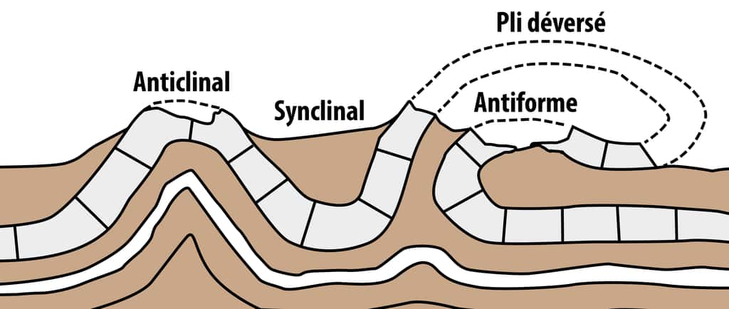 Différence entre anticlinal et synclinal © ManuRoquette, Wikimedia Commons, CC BY-SA 4.0 