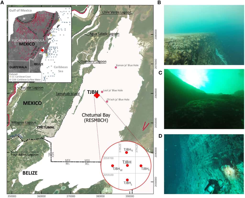 Le trou bleu de Taam Ja' au Mexique était jusqu'à présent considéré comme le second plus profond au monde. Une erreur qui vient d'être rectifiée grâce à une nouvelle étude. © Alcérreca-Huerta et al. 2024, <em>Frontiers in Marine Science</em>
