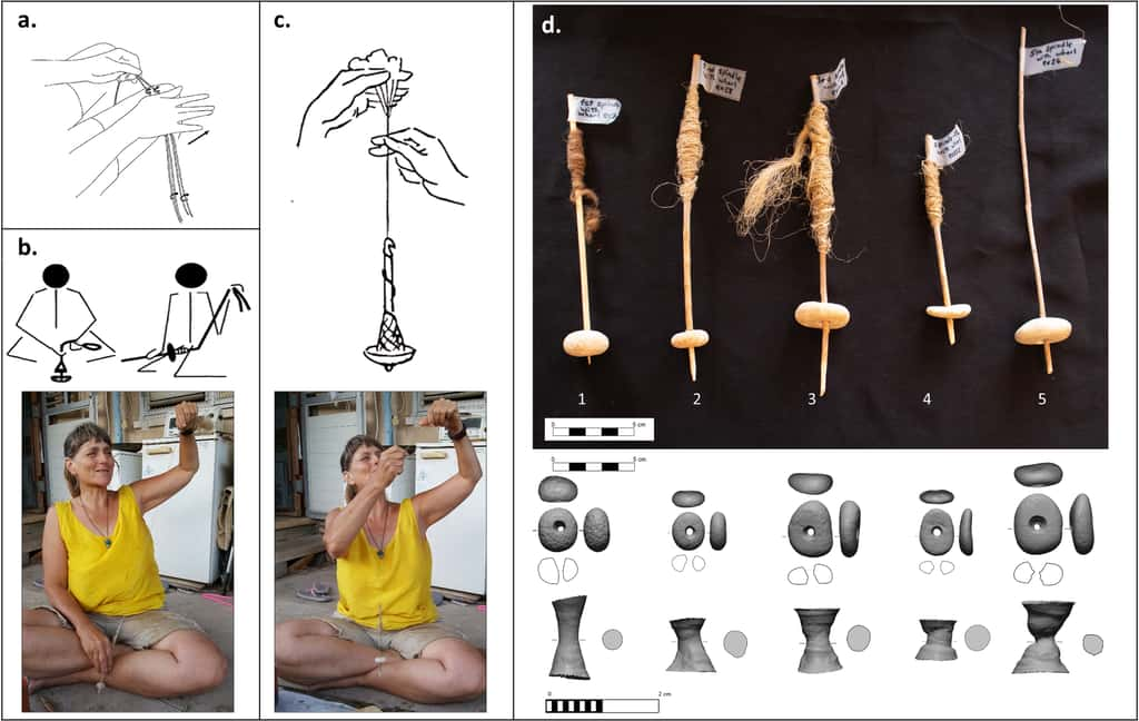 Des chercheurs ont testé plusieurs façons de filer des fibres de lin, notamment en utilisant les petites pierres percées montées sur un bâton. © Yashuv et <em>al.</em> 2024, PLOS ONE