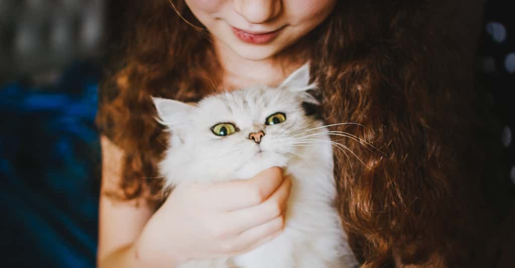 <em>Toxoplasma gondii</em>, responsable de notre amour pour nos chats ? Une hypothèse sans réelles preuves solides. © Veronika Homchis, Adobe Stock