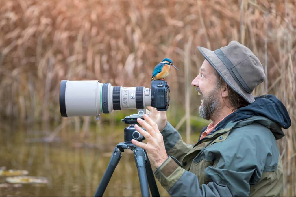 La supercherie derrière la photographie animalière et les secrets des clichés « parfaits » révélés. © DieterMeyrl, iStock