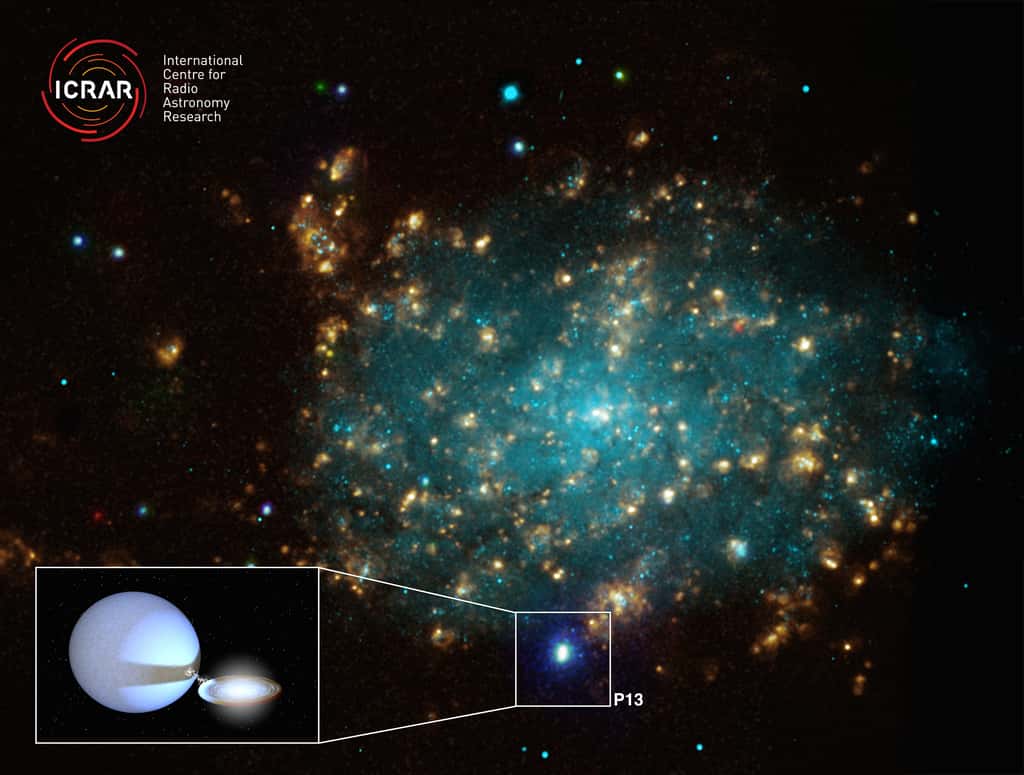 Cette image est une combinaison d'observations faites de la galaxie NGC 7793 avec en bas à gauche une image de synthèse montrant P13 et son disque d'accrétion. © Dans le domaine des rayons X: Nasa / CXC / Univ. de Strasbourg / M. Pakull <em>et al</em>.; dans le visible: ESO / VLT / Univ. de Strasbourg / M. Pakull et avec la raie H-alpha: NOAO / AURA / NSF / CITO 1,5; enfin: Tom Russell (ICRAR), utilisant un logiciel créé par Rob Hynes (Louisiana State University)