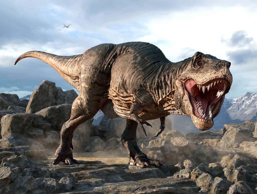 Les tyrannosaures avaient, comme les <em>Meraxes gigas</em>, de tout petits bras, malgré l'appartenance à un groupe différent. © warpaintcobra, Adobe Stock