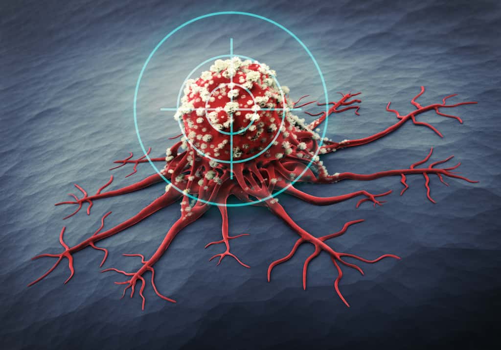 Les cellules T sont capables de détruire les cellules cancéreuses. © peterschreiber.media, Adobe Stock