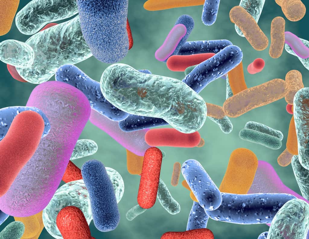 Un microbiote est un ensemble de micro-organismes. © picture-waterfall, Adobe Stock