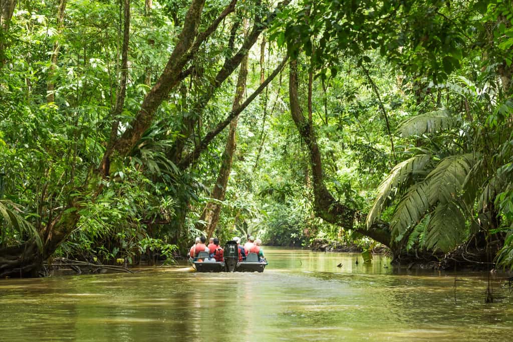 Le Costa Rica se différencie par un cadre politique et une législation forestière claire, réglementée, mais flexible. © roca83, Adobe Stock