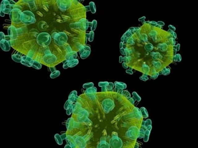 Le VIH, virus du Sida, agit en affaiblissant le système immunitaire, rendant ainsi les sujets atteints vulnérables à diverses infections. © Sebastian Kaulitzki, shutterstock.com 