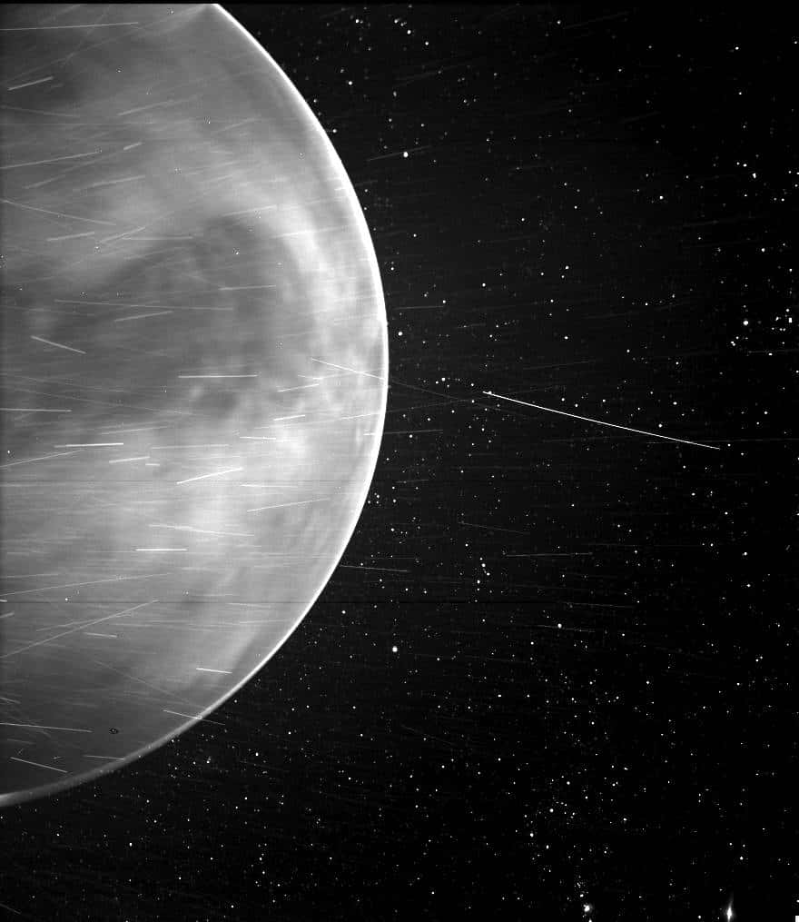 Photographie de Vénus par Parker Solar Probe, publiée le 24 février par la Nasa. © Nasa