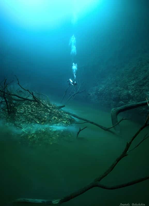 Une étrange « rivière » serpente sous les eaux du cénote Angelita. © Anatoly Beloshchin