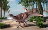 À l'époque des dinosaures, les mammifères se seraient fait concurrence entre eux. © Daniel, Adobe Stock