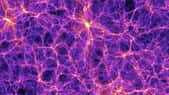 Le Millennium Simulation Project est une suite de simulations numériques faites depuis 2005 pour comprendre comment les galaxies et les amas de galaxies se forment et se rassemblent pour créer, à grande échelle, des structures en forme de filaments entourant des zones beaucoup moins riches en étoiles et matière, de sortes de vides cosmiques. L'image que l'on voit est extraite d'une de ces simulations avec des superordinateurs. Elle est suffisamment précise pour comprendre bien des aspects de l'Univers observable en utilisant la théorie de Newton de la gravitation. © Max Planck Institute for Astrophysics, Springel et al.