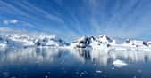 Température record en Antarctique. © Adobe Stock