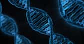 La molécule d'ADN est formée de deux brins © CNRS