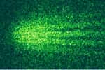 Une figure de diffraction de faisceaux moléculaires formée de molécules de phtalocyanine, qui découle de l'aspect ondulatoire de la matière en physique quantique. Les impacts des molécules sur un écran sont visibles, car les molécules sont fluorescentes lorsqu'elles sont éclairées par un laser. L'originalité de cette expérience vient du fait que le réseau de diffraction utilisé est la paroi d'une algue diatomée. © Michele Sclafani
